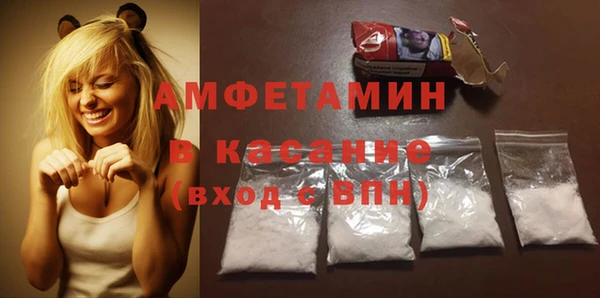 PSILOCYBIN Алзамай