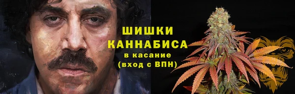PSILOCYBIN Алзамай