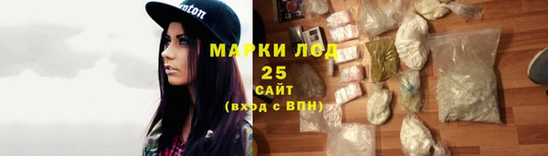 PSILOCYBIN Алзамай
