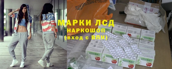 PSILOCYBIN Алзамай