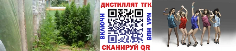 Дистиллят ТГК вейп  Шацк 