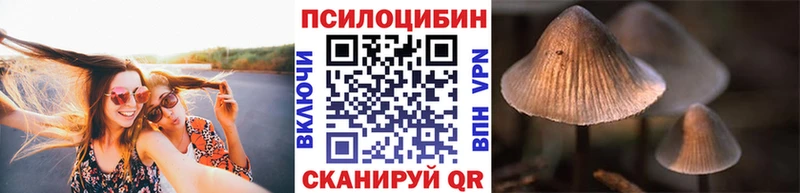 Псилоцибиновые грибы ЛСД  Шацк 